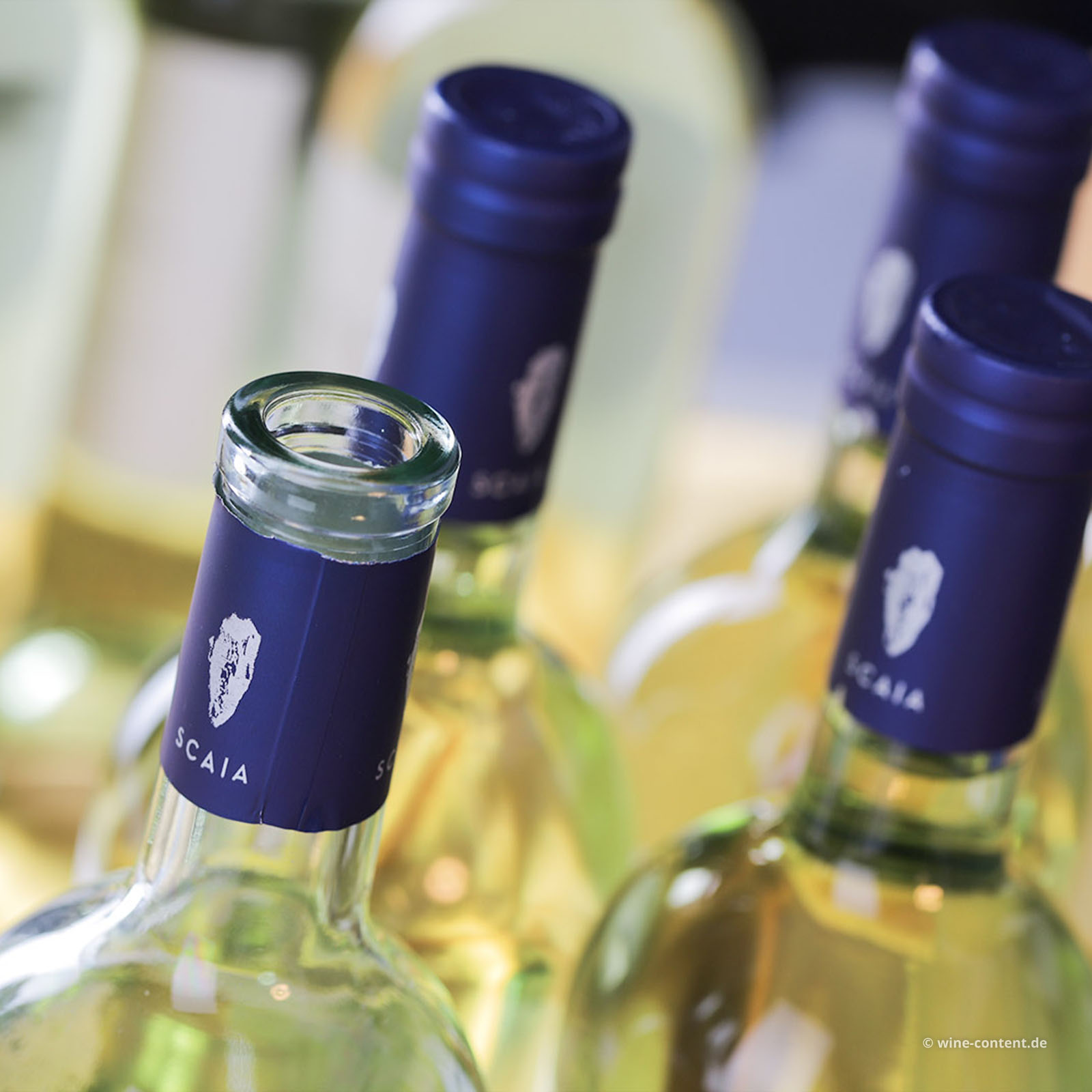 9er-Sparpaket Scaia Bianco 2024